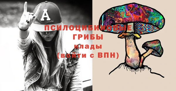 скорость Алзамай