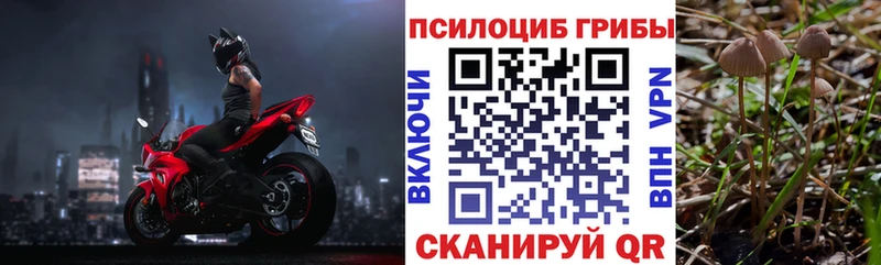 наркошоп  Сим  Псилоцибиновые грибы Psilocybe 